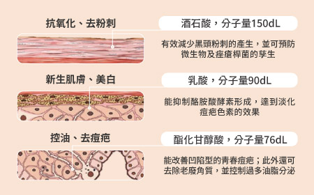 煥膚療程成分細節