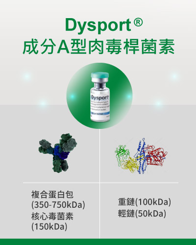 Dysport皇家肉毒桿菌成分A型肉毒桿菌素