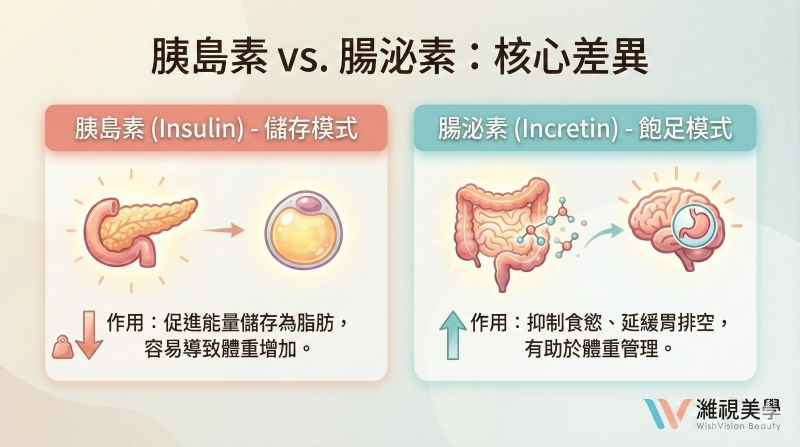 incretin_腸泌素